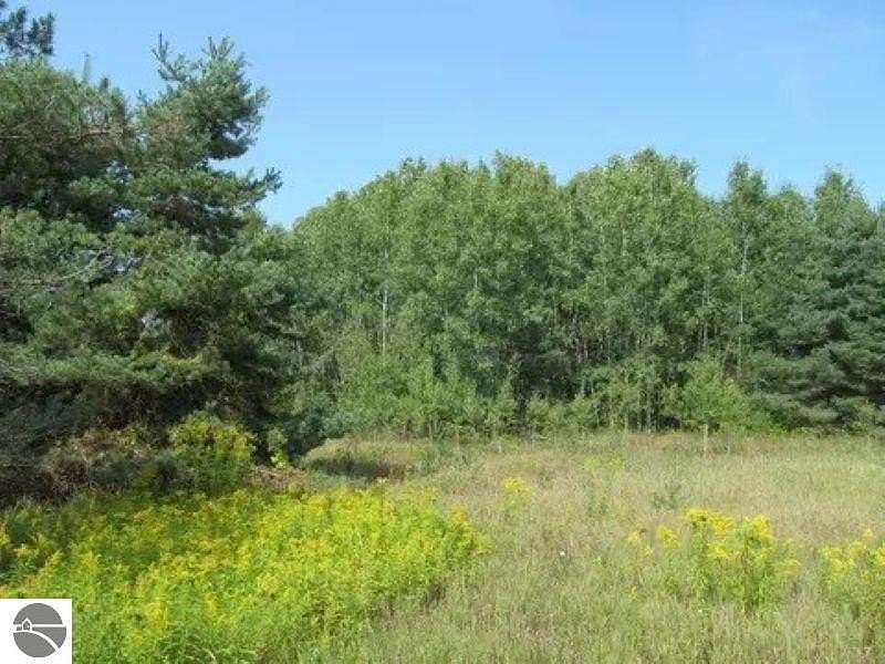 7.3 Acres of Land for Sale in Cadillac, Michigan