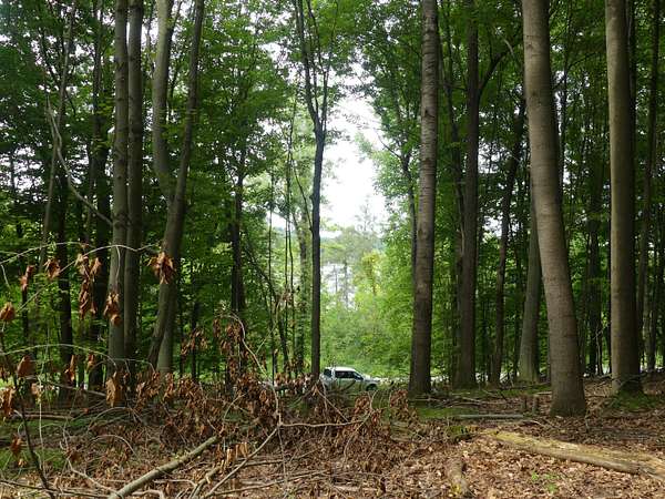3.7 Acres of Residential Land for Sale in Newaygo, Michigan