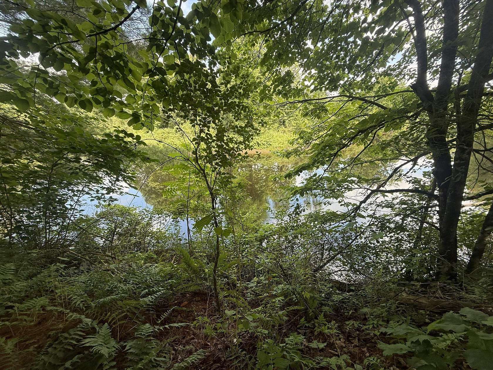 25.3 Acres of Recreational Land for Sale in Edwards, New York