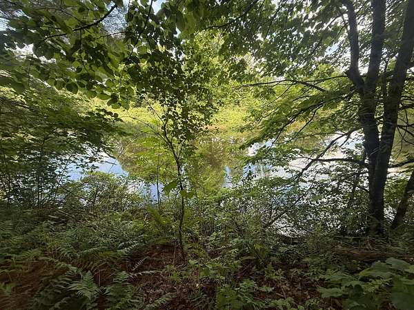 25.3 Acres of Recreational Land for Sale in Edwards, New York