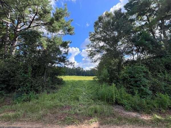 5.84 Acres of Land for Sale in Jasper, Texas