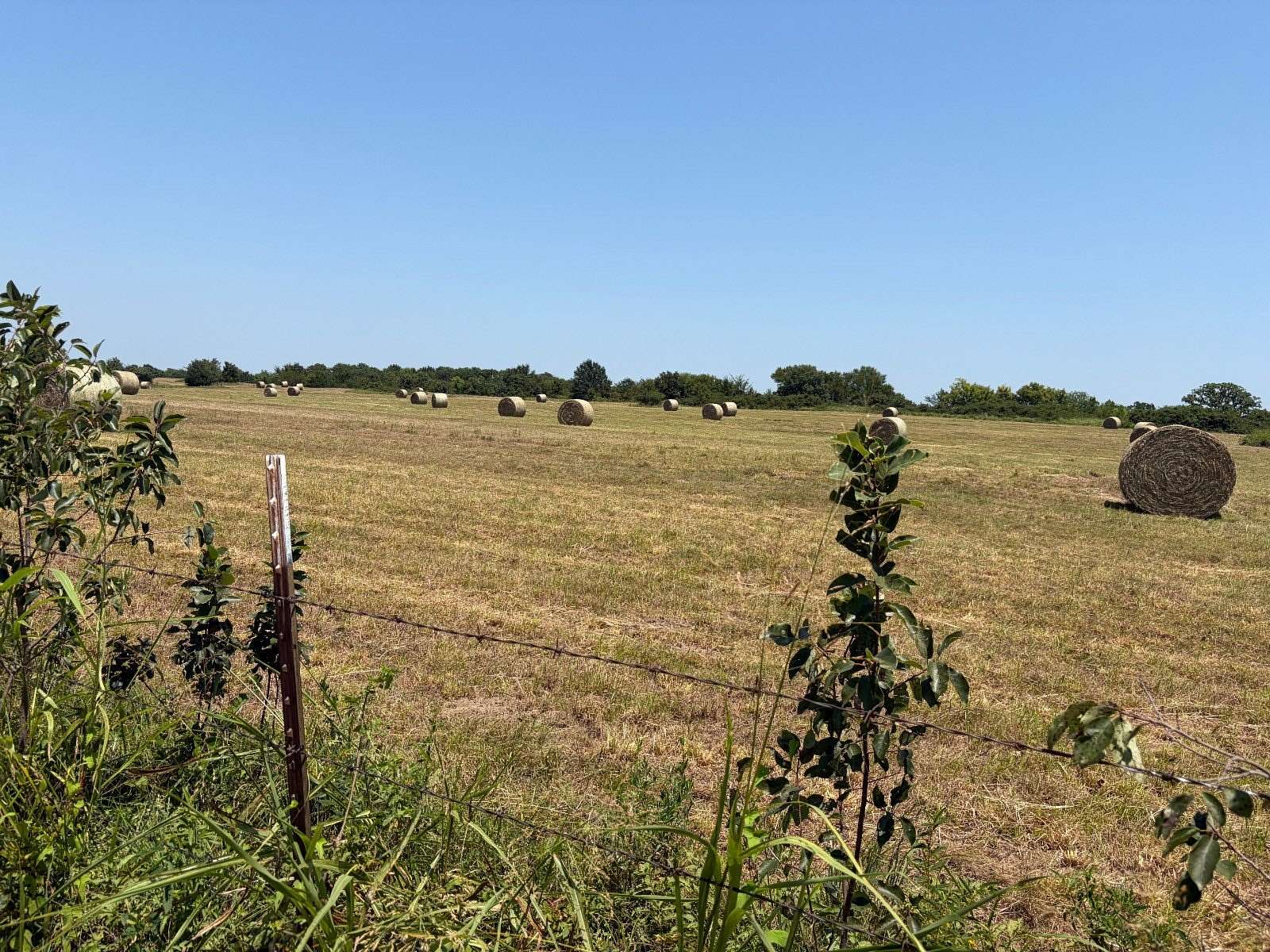 40 Acres of Agricultural & Residential Land for Sale in Coalgate, Oklahoma