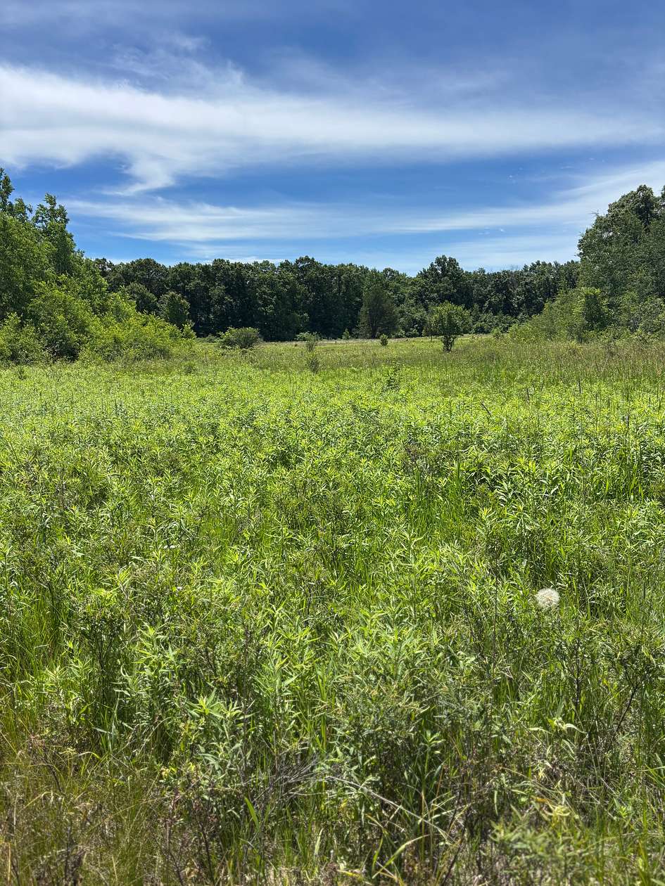 68.3 Acres of Land for Sale in Tomah, Wisconsin