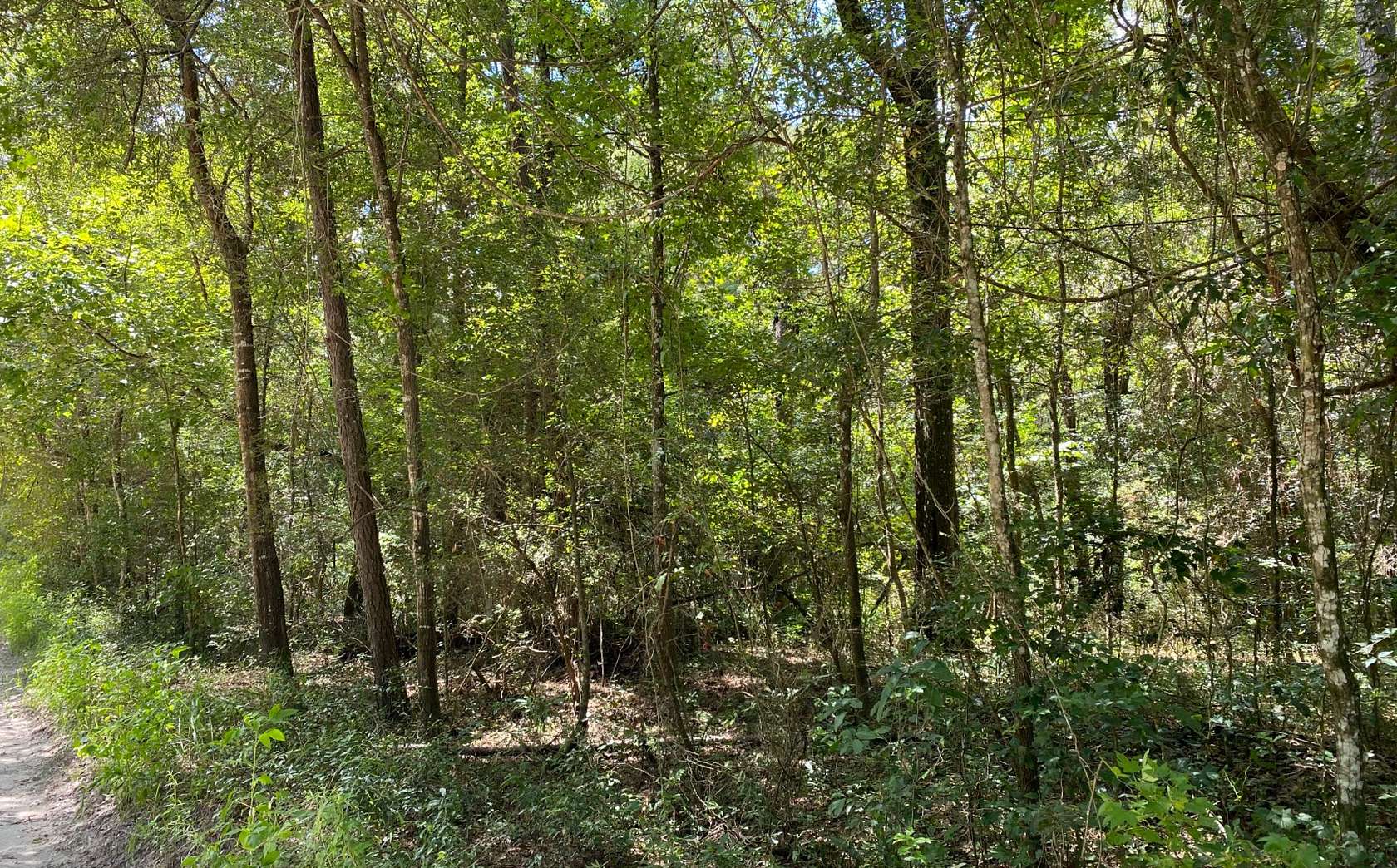 0.68 Acres of Residential Land for Sale in Jasper, Florida