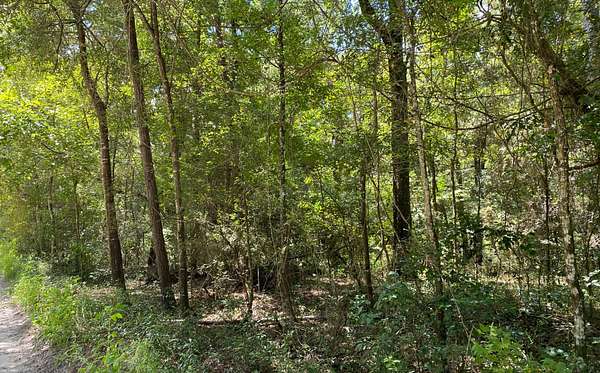 0.68 Acres of Residential Land for Sale in Jasper, Florida