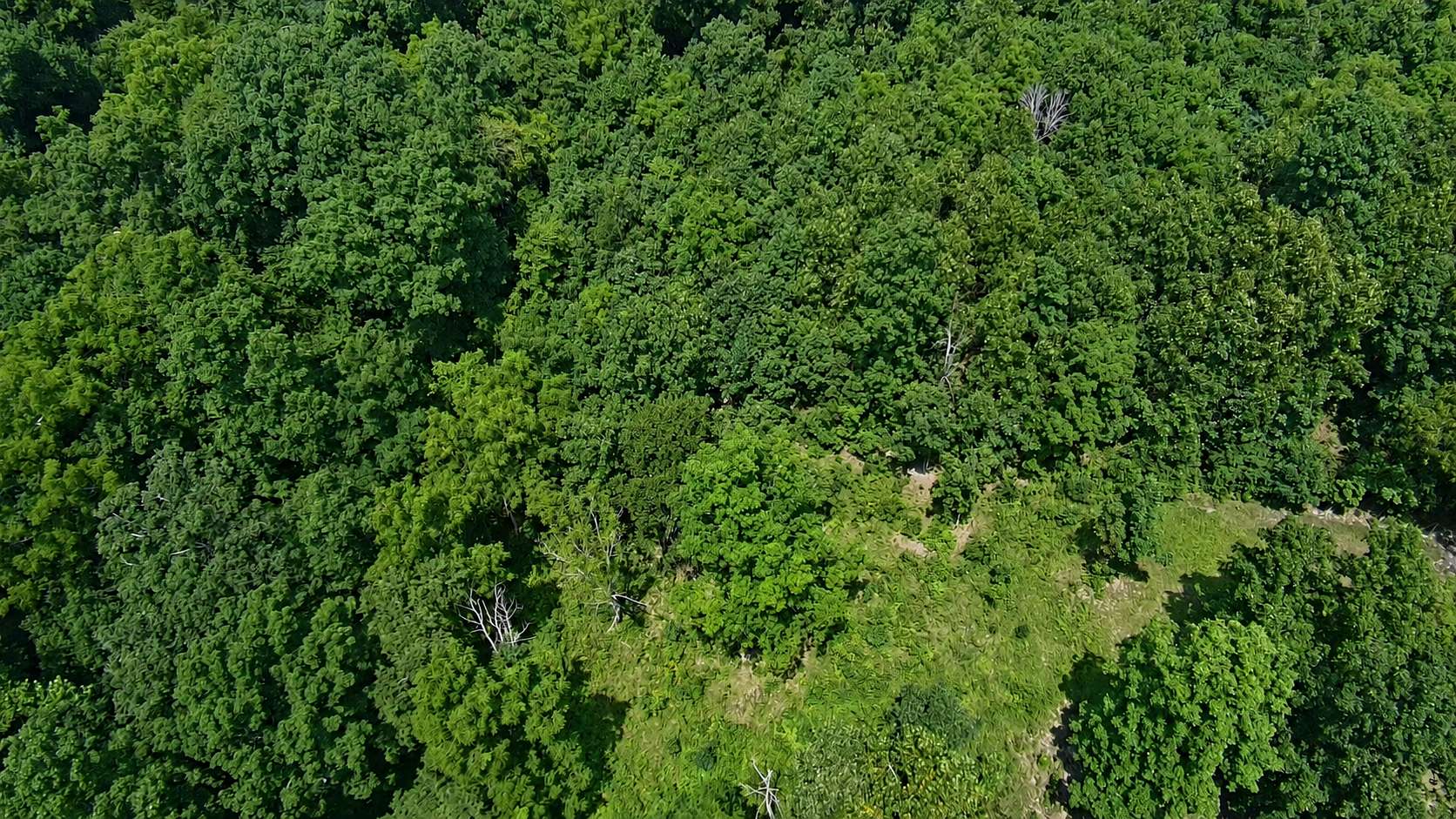 5 Acres of Land for Sale in Ava, Missouri