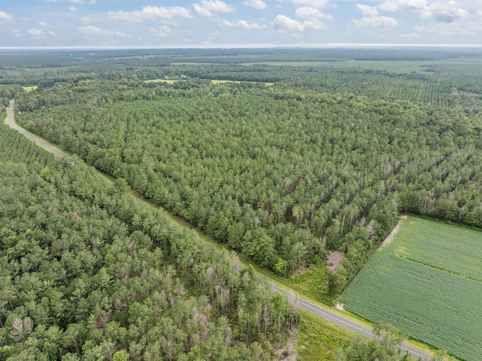 42 Acres of Land for Sale in Edward, North Carolina