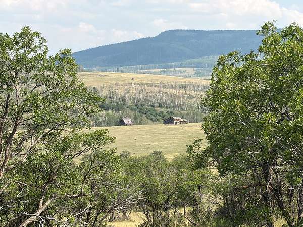52.6 Acres of Land for Sale in Placerville, Colorado