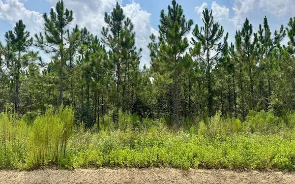 5 Acres of Land for Sale in Jasper, Florida