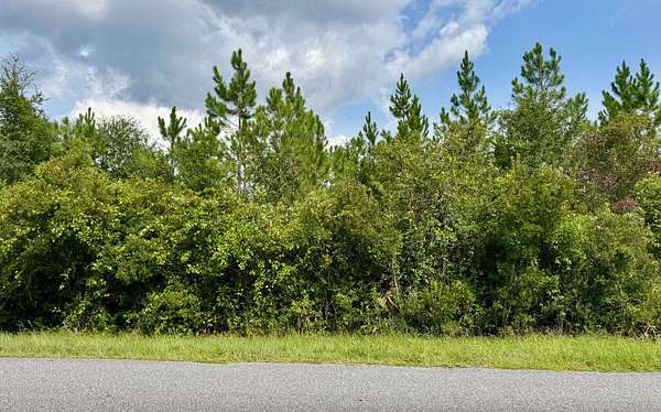 45 Acres of Land for Sale in Jasper, Florida