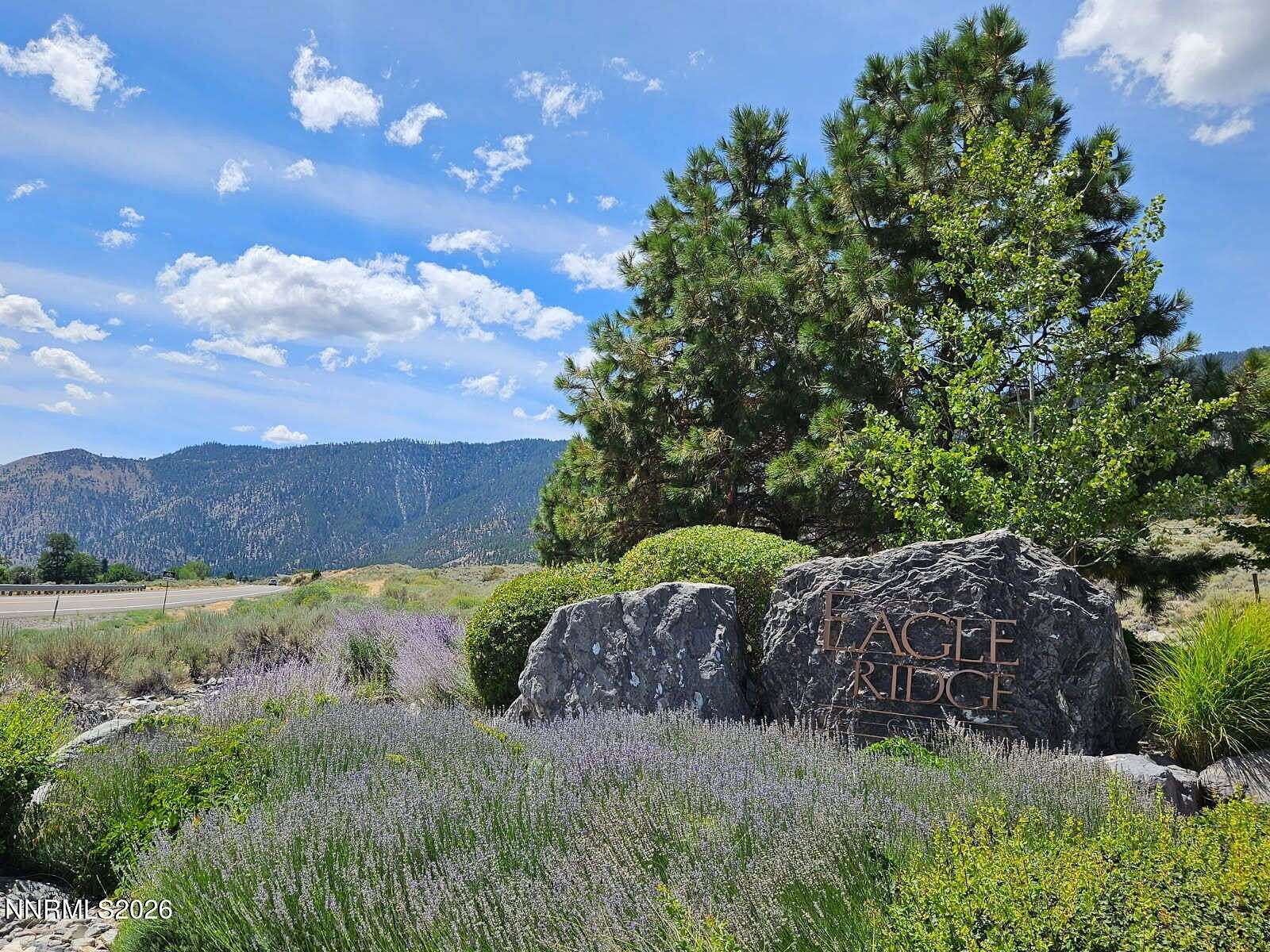 7.36 Acres of Residential Land for Sale in Genoa, Nevada