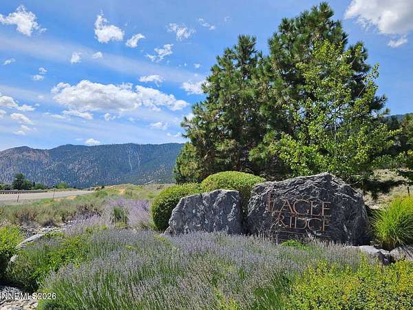 7.36 Acres of Residential Land for Sale in Genoa, Nevada