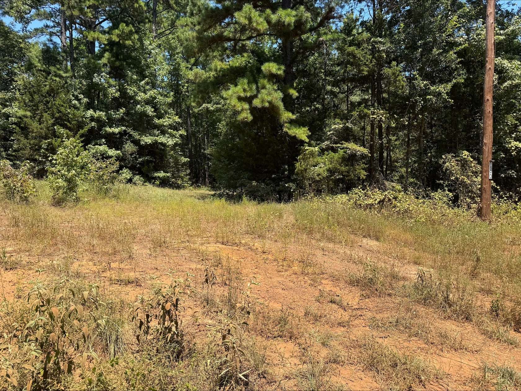 14 Acres of Land for Sale in Avinger, Texas