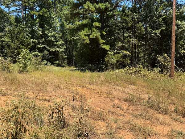 14 Acres of Land for Sale in Avinger, Texas