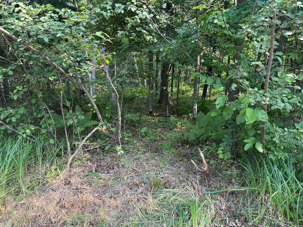 1 Acre of Land for Sale in Sturgeon Lake, Minnesota