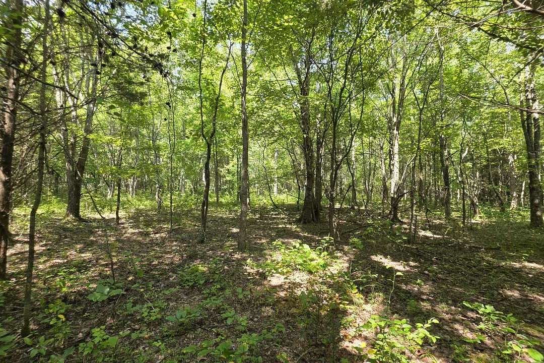 5.7 Acres of Residential Land for Sale in Summertown, Tennessee