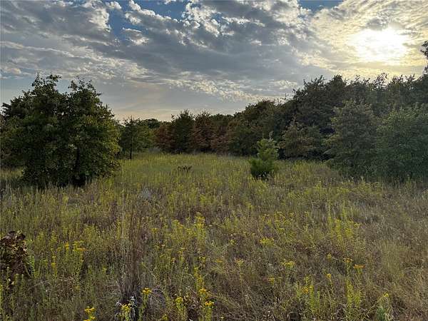 9.61 Acres of Land for Sale in Boyd, Texas