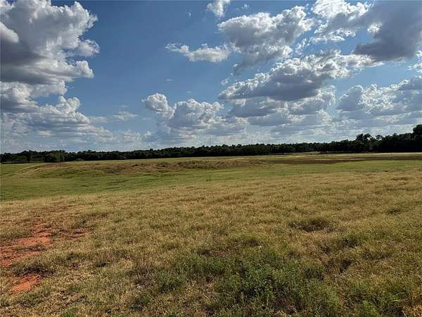 41.7 Acres of Agricultural & Residential Land for Sale in Tuttle, Oklahoma