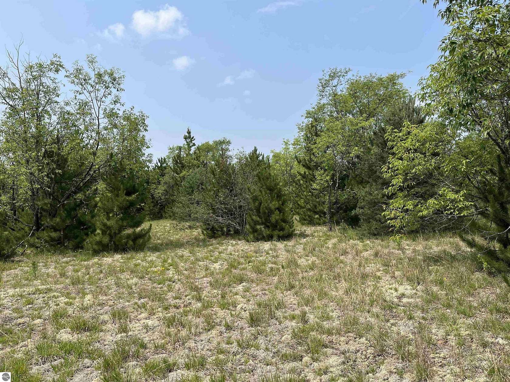 5 Acres of Residential Land for Sale in Mancelona, Michigan
