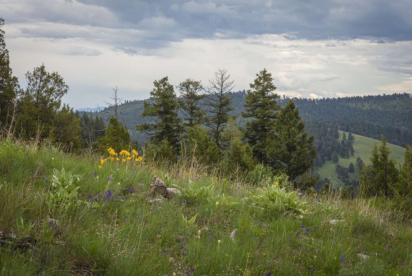 329 Acres of Land for Sale in Drummond, Montana