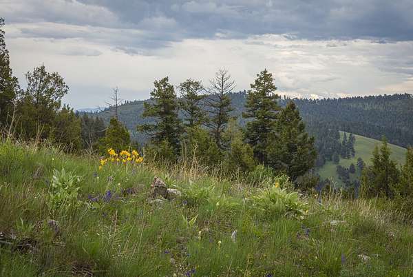 329 Acres of Land for Sale in Drummond, Montana