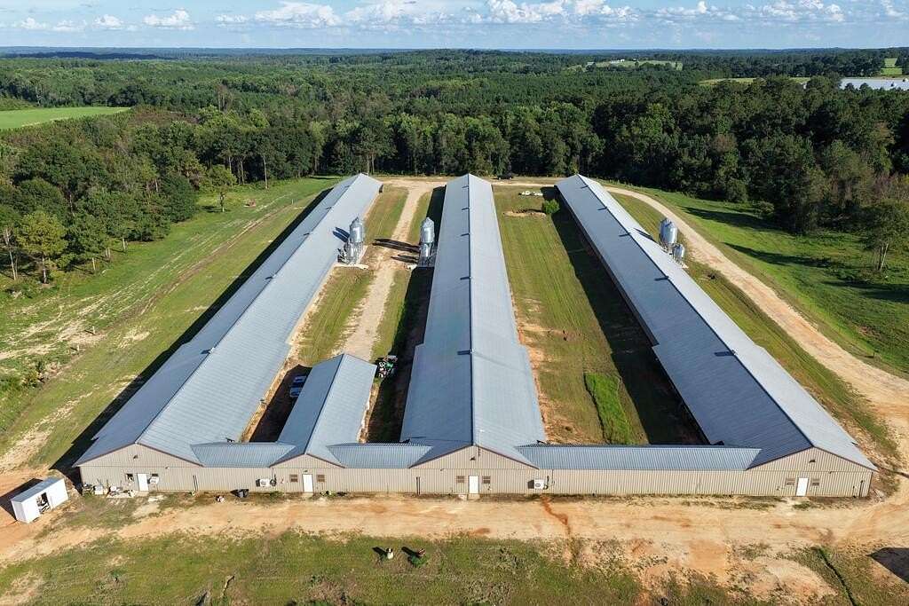 23 Acres of Land for Sale in Clio, Alabama