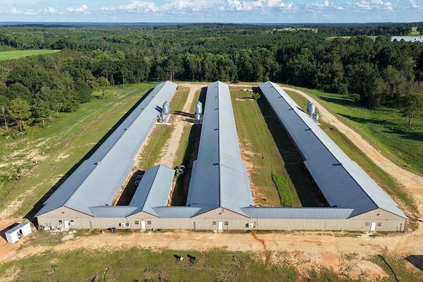 23 Acres of Land for Sale in Clio, Alabama