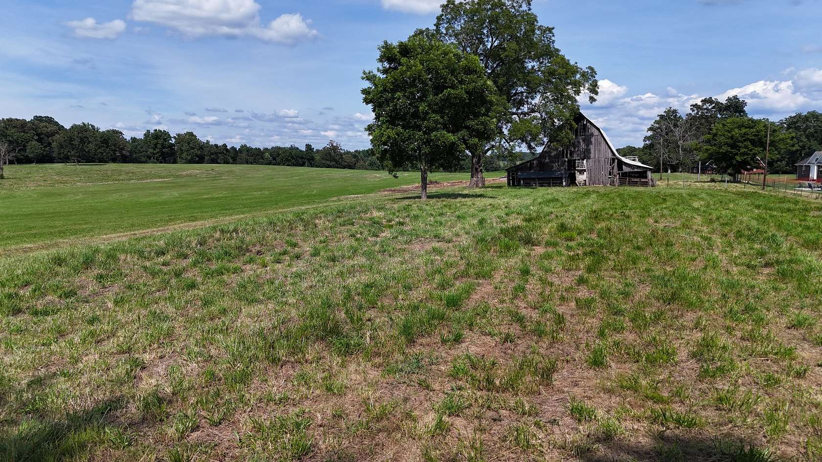 54.4 Acres of Agricultural & Residential Land for Auction in McMinnville, Tennessee