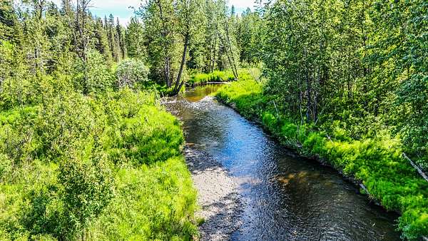 47.8 Acres of Recreational & Residential Land for Sale in Anchor Point, Alaska