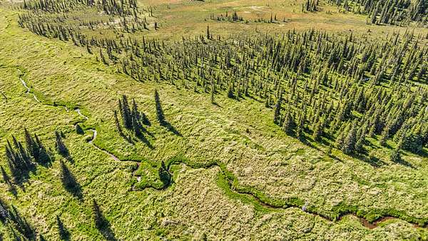 80 Acres of Recreational & Residential Land for Sale in Anchor Point, Alaska
