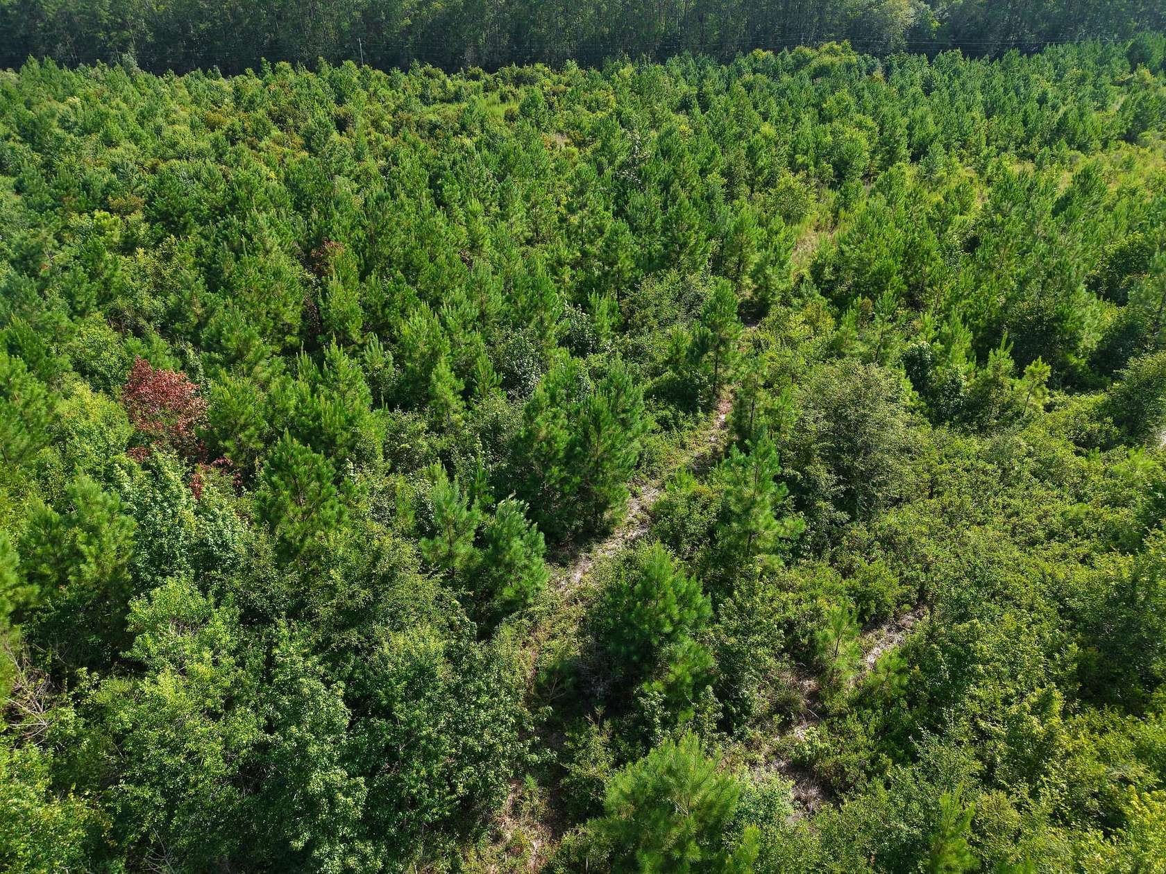 6.4 Acres of Recreational Land for Sale in White Oak, Georgia