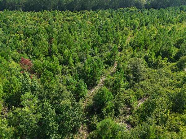 6.4 Acres of Recreational Land for Sale in White Oak, Georgia