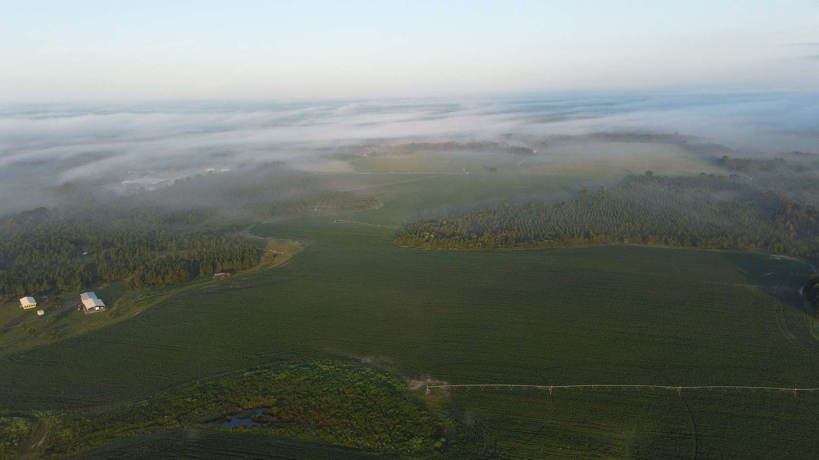 252 Acres of Land for Sale in Ashburn, Georgia