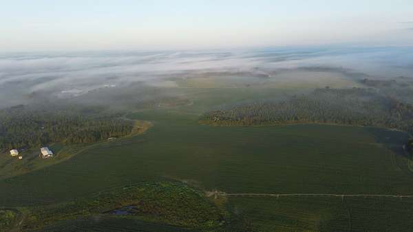 252 Acres of Land for Sale in Ashburn, Georgia