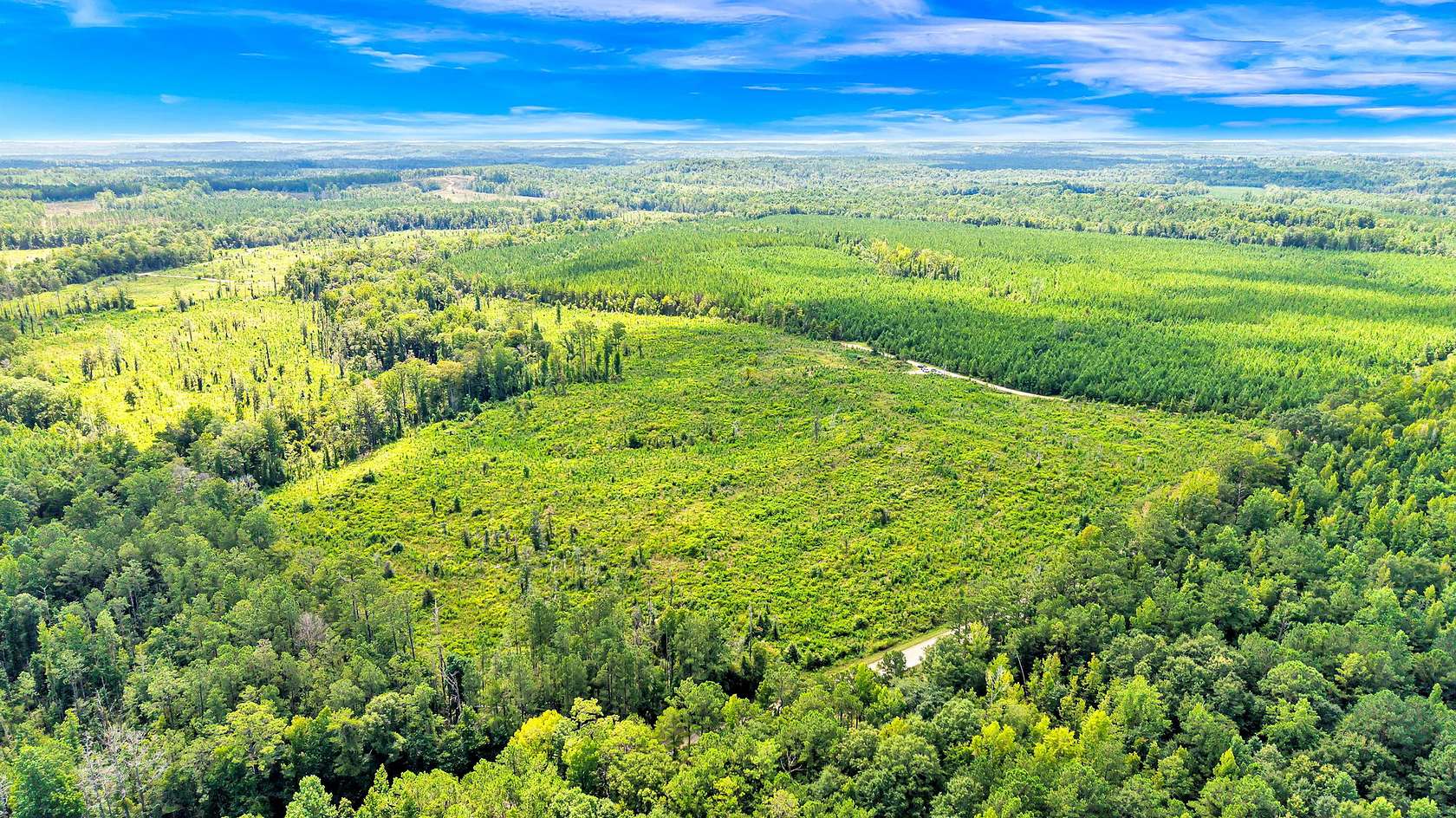310 Acres of Recreational Land for Sale in Greenville, Alabama