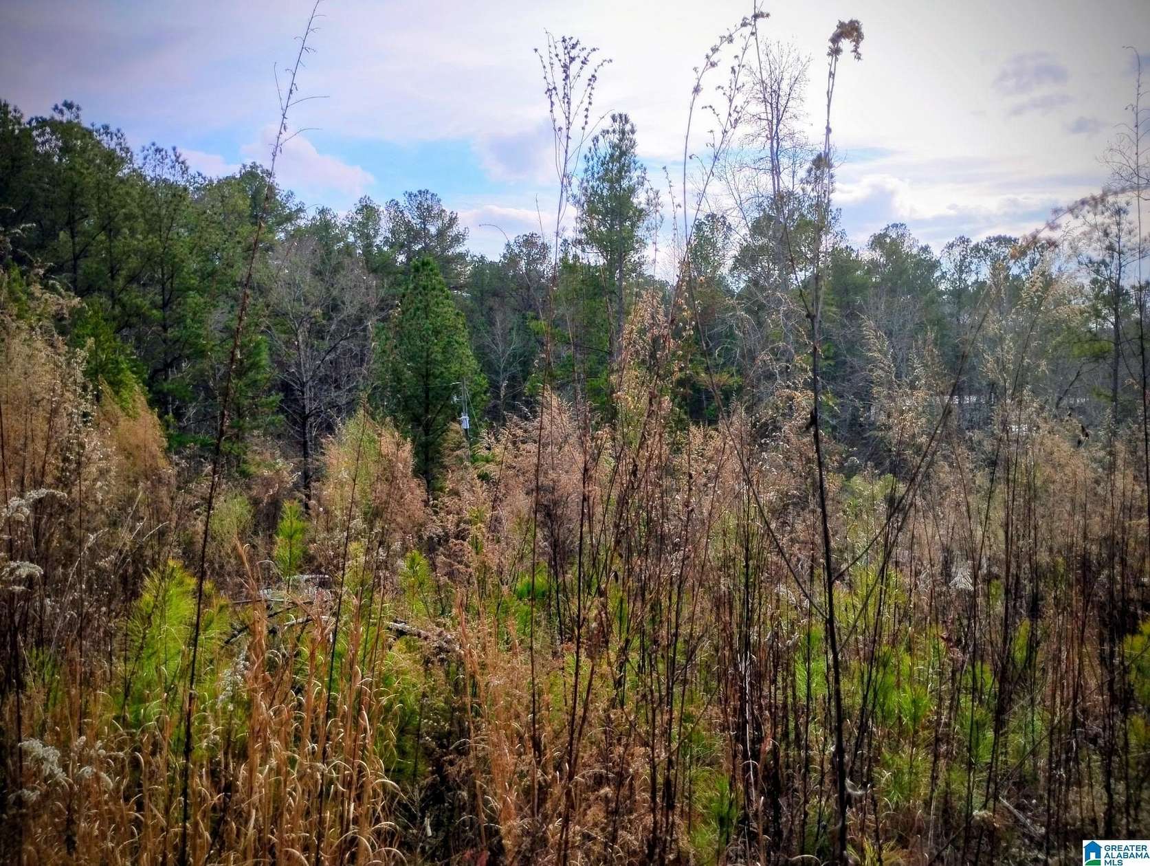 0.49 Acres of Residential Land for Sale in Lineville, Alabama
