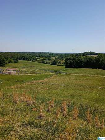 73 Acres of Agricultural Land with Home for Sale in Talladega, Alabama