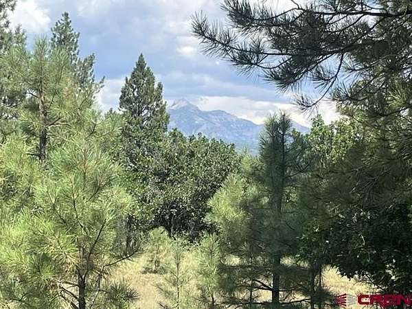 10 Acres of Residential Land for Sale in Pagosa Springs, Colorado