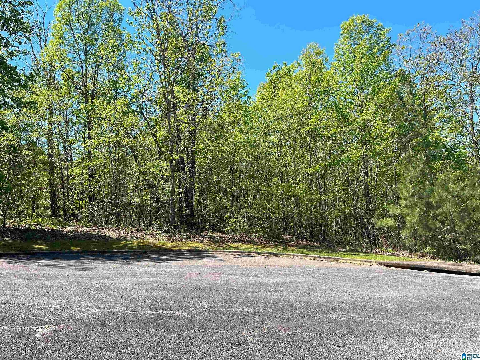 0.6 Acres of Residential Land for Sale in Springville, Alabama