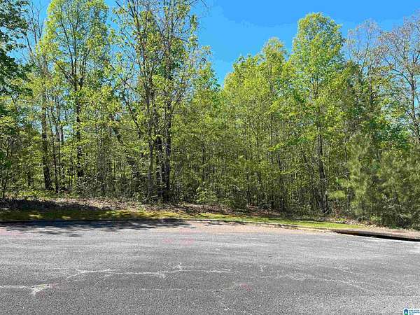 0.6 Acres of Residential Land for Sale in Springville, Alabama