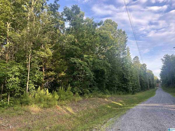 7.37 Acres of Residential Land for Sale in Munford, Alabama