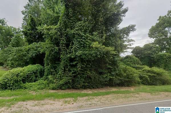 30.1 Acres of Recreational Land for Sale in Jasper, Alabama