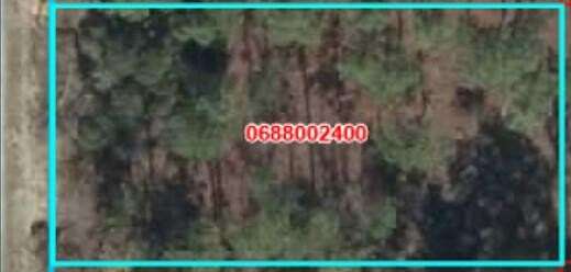 0.25 Acres of Residential Land for Sale in Dunnellon, Florida