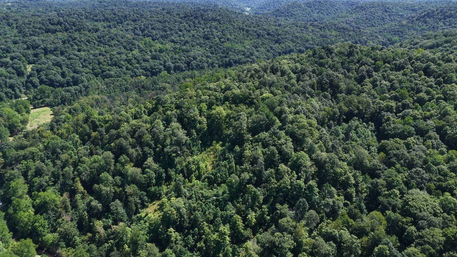 74 Acres of Recreational Land for Sale in Newport, Ohio