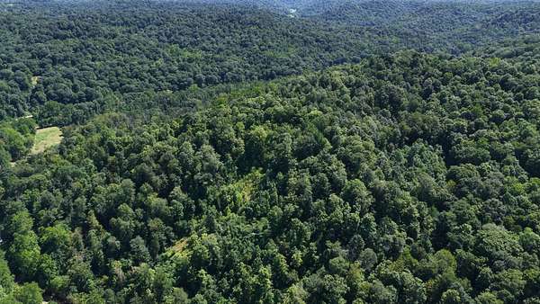 74 Acres of Recreational Land for Sale in Newport, Ohio