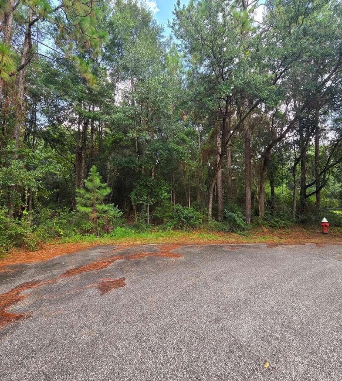 1.13 Acres of Residential Land for Sale in Milton, Florida