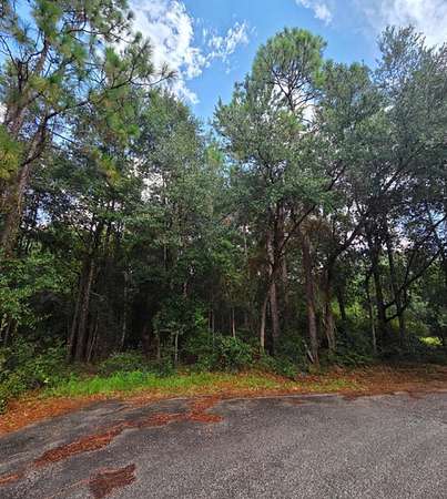 2.28 Acres of Residential Land for Sale in Milton, Florida