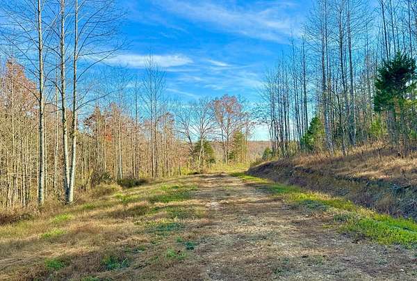 52.7 Acres of Recreational Land for Sale in Liberty, Kentucky