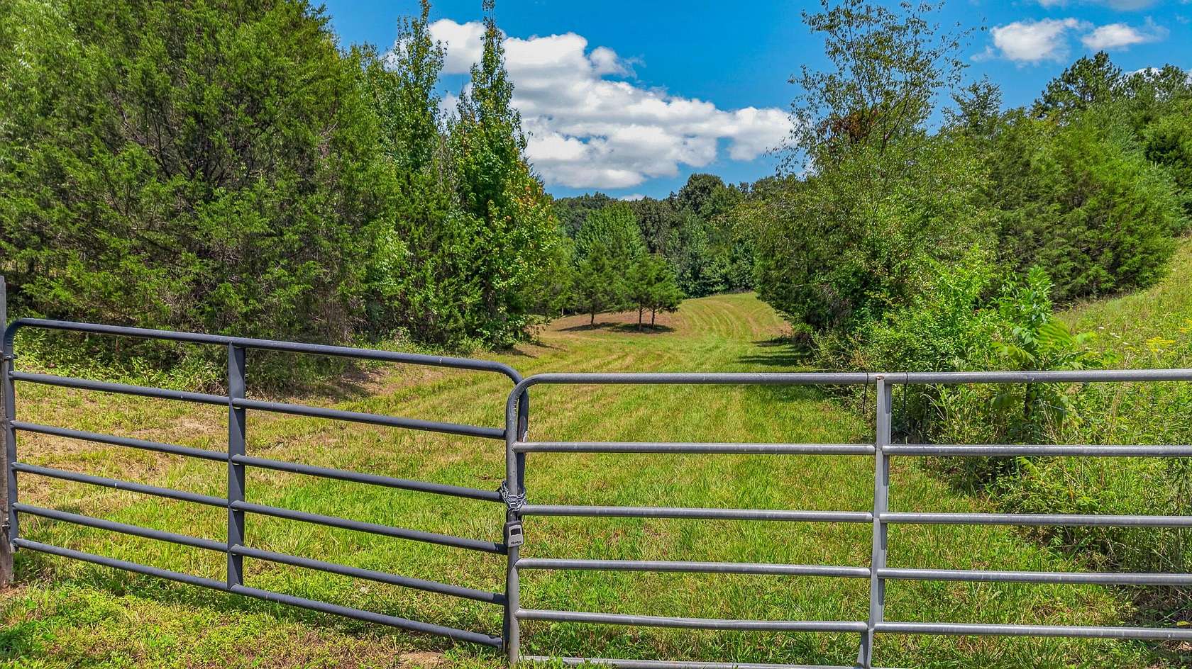 19.9 Acres of Recreational & Residential Land for Sale in Afton, Tennessee
