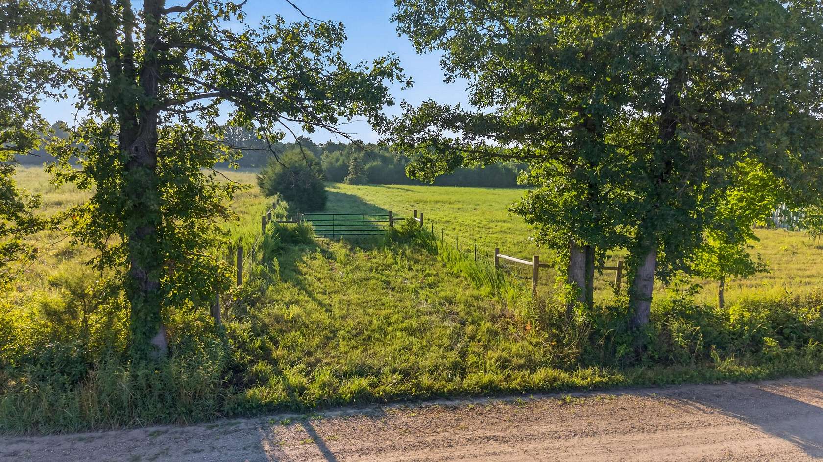 20 Acres of Recreational & Residential Land for Sale in Buffalo, Missouri